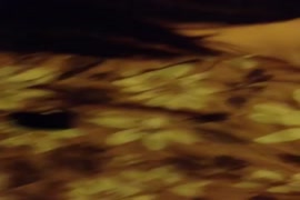 Irmao cariciando irma.videos.com